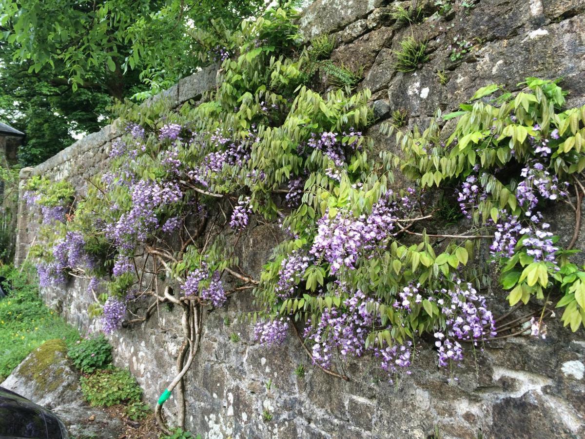Tor Royal Farm Princetown Exterior foto